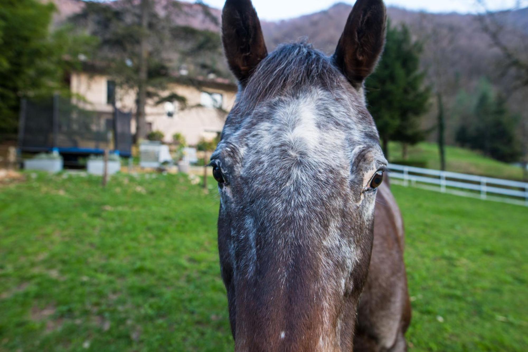 Cascina Canale Sabbio Chiese Esterno foto