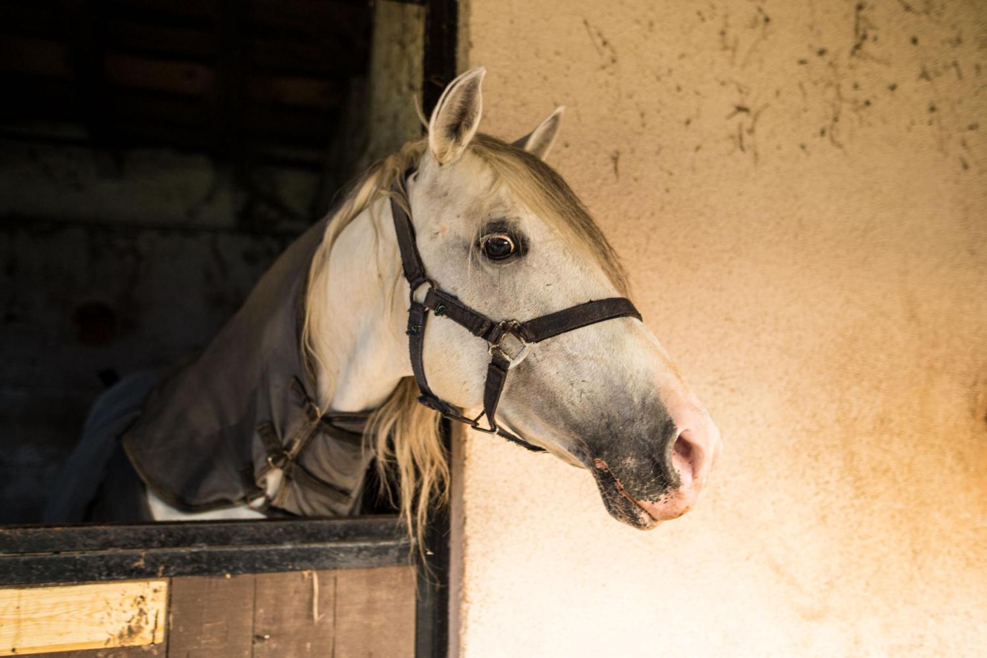 Cascina Canale Sabbio Chiese Esterno foto
