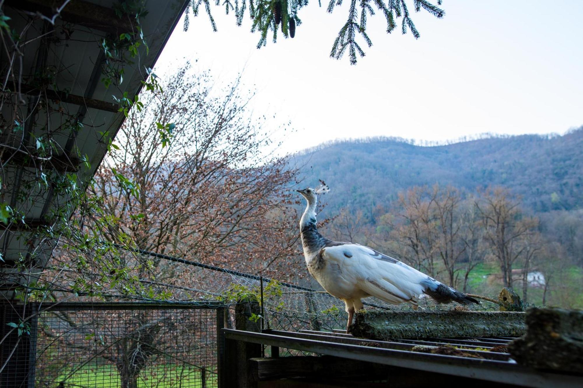 Cascina Canale Sabbio Chiese Esterno foto