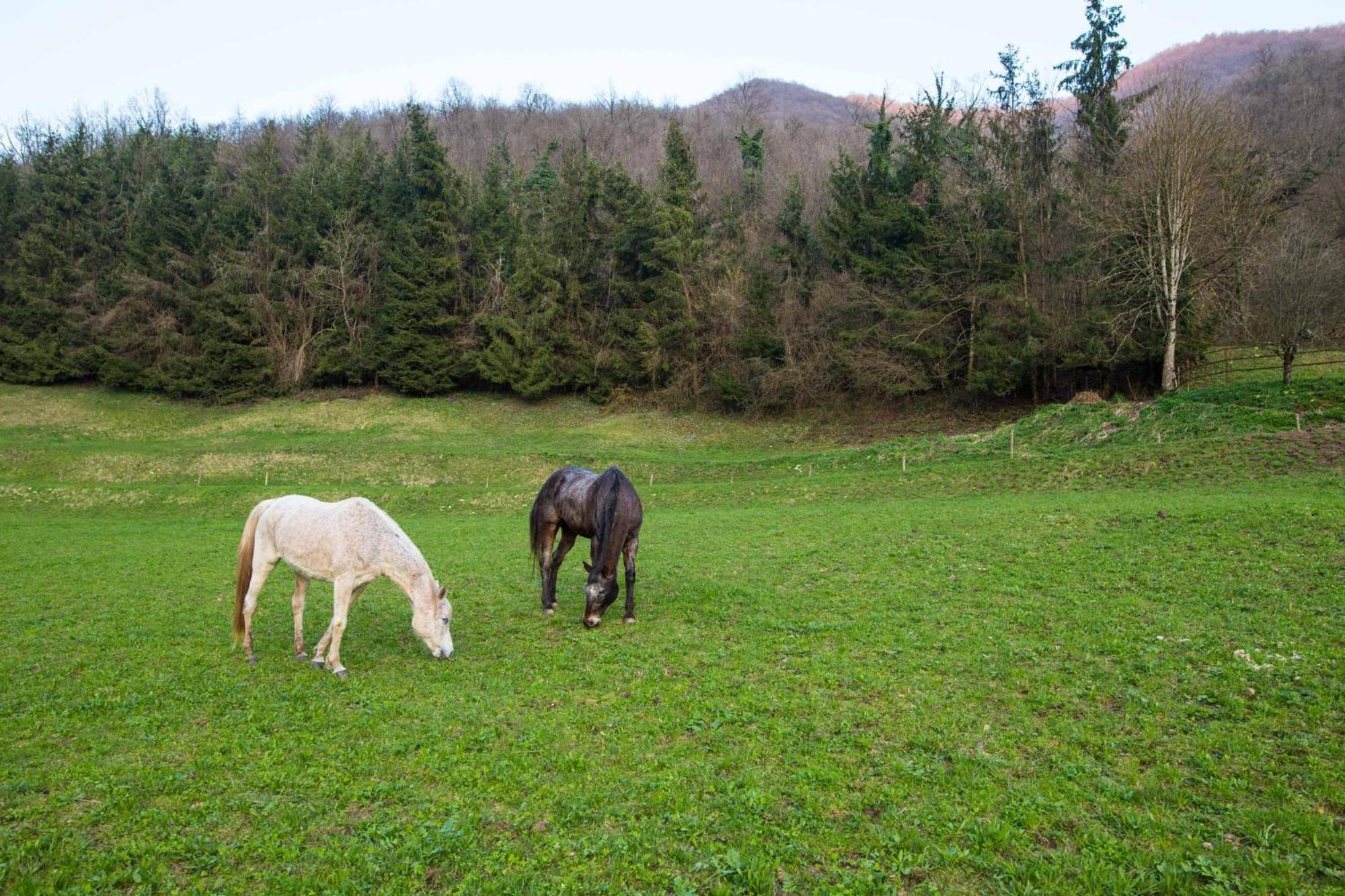 Cascina Canale Sabbio Chiese Esterno foto